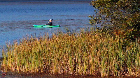 VINTAGE VIVITAR 70-150 M42 ZOOM on CANON T3i