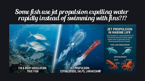 Fun Fact for Feb 2nd 2026