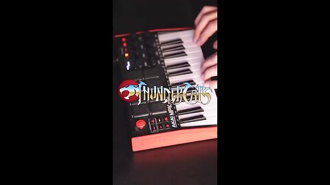 ThundercatsCats #1980a Fun Funny Music #Humor #Theme
