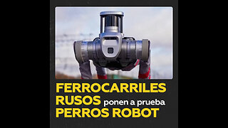 Perros robot, al servicio de los ferrocarriles rusos