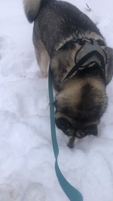 Monday December 1, Those who become Christians become a new person.