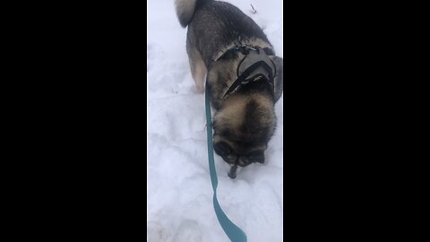 Monday December 1, Those who become Christians become a new person.