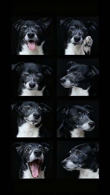 Fifteen years of attitude! 👑