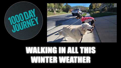 1000 Day Journey 0908 Walking in all this Winter Weather