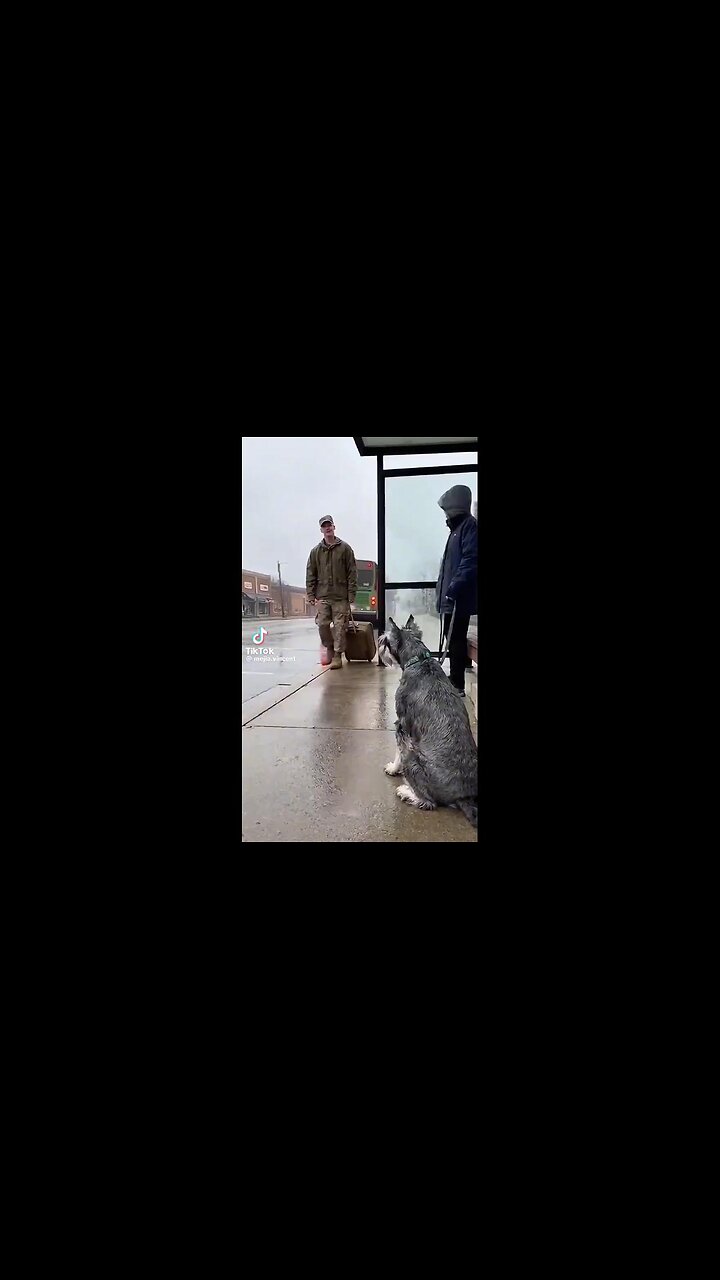 💥 IVE MISSED YOU SO MUCH!