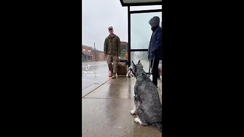 💥 I'VE MISSED YOU SO MUCH!