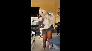 Love All Life Always #457 - Crazy Animal Antics...🤣🤣🤣