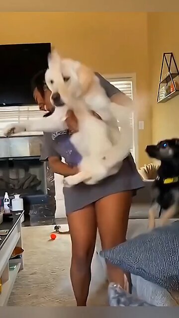 Love All Life Always #457 - Crazy Animal Antics...🤣🤣🤣