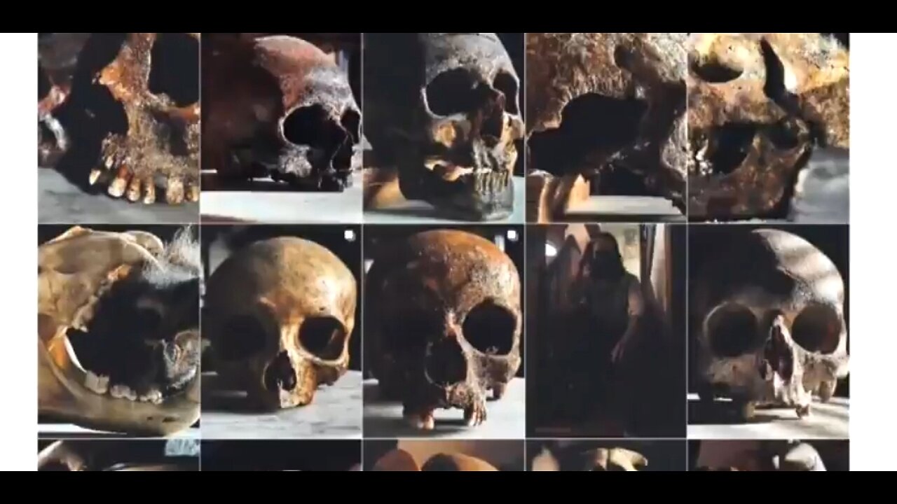 MARKET FOR HUMAN REMAINS ☠️