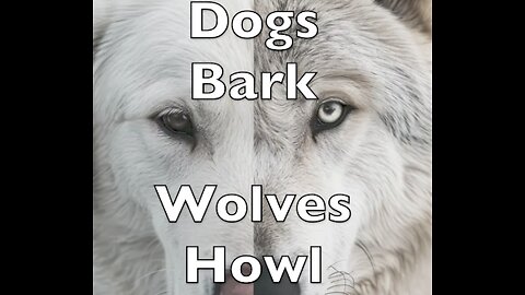 Dogs Bark Wolves Howl