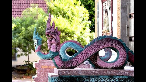 Pareja de serpientes