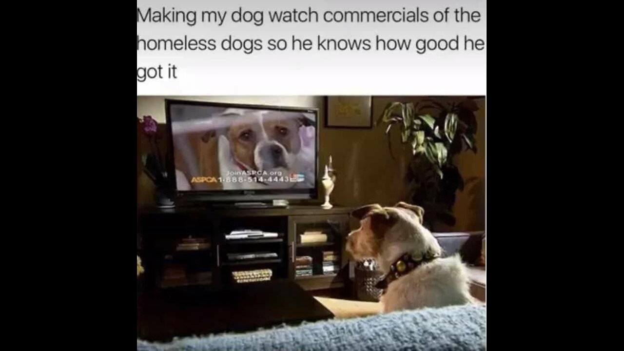 Selected not elected soulless useless scum