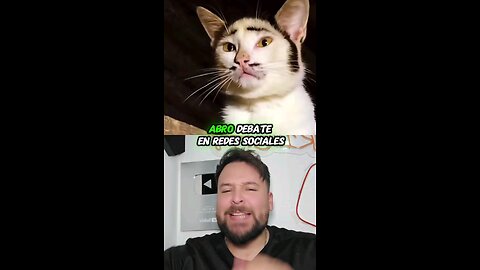 Vicente Fernández reencarno en este gatito 🤭
