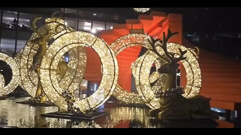 🪀yoYo🪀 TALKS SCRIBBLES, WHAT HE SAYS HAPPENED TO THE HUSKY & SAWDUST UPDATE 11-30-25