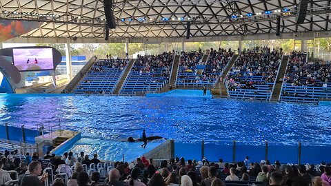 Sea World San Antonio