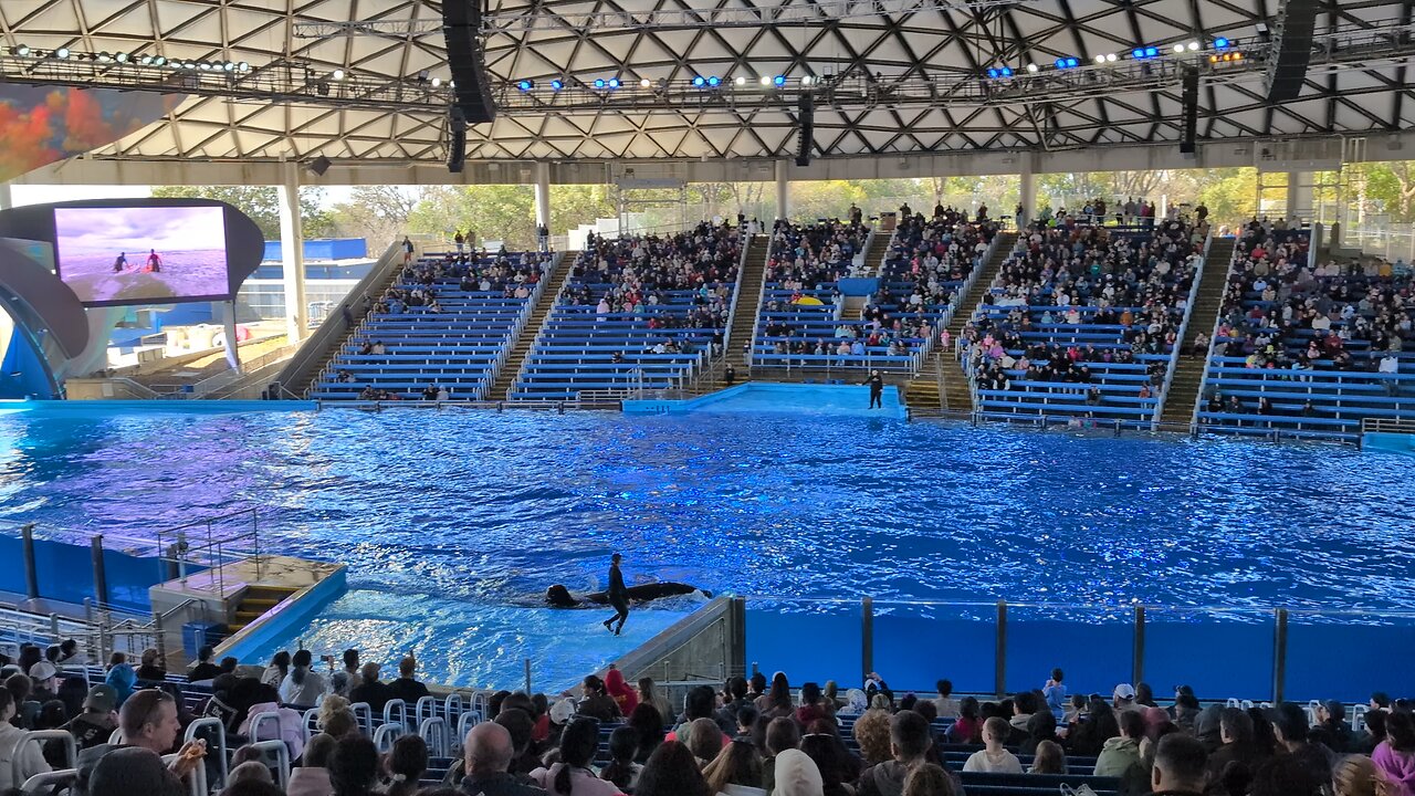 Sea World San Antonio