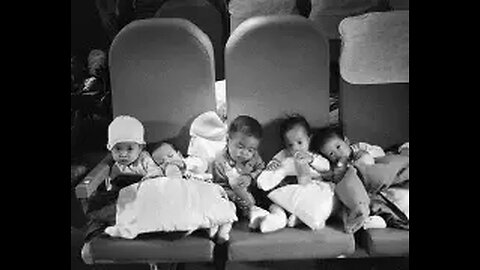 Haitian Invasion, Springfield, Ohio. Haitian Baby Mill Operation