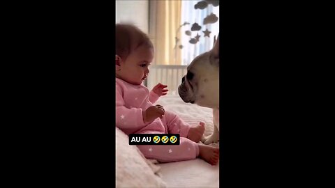 लवली विडिओ