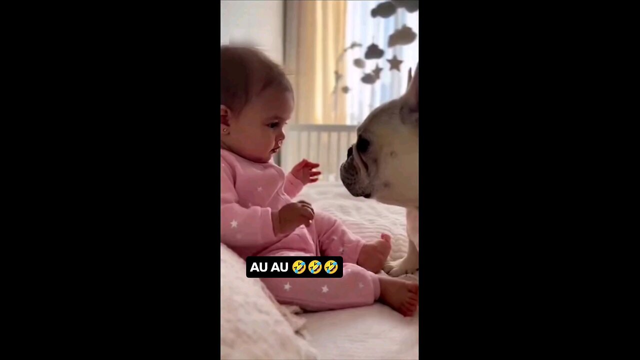 लवली विडिओ