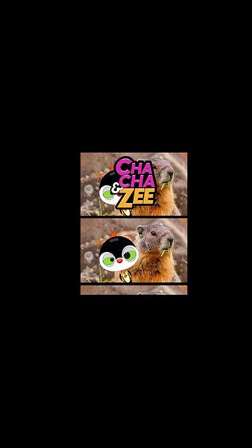 Did That Mountain Just Talk To Us? | Colorado famous mountains | Colorado mountain travel