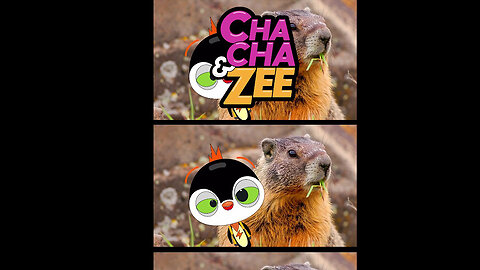 Did That Mountain Just Talk To Us? | Colorado famous mountains | Colorado mountain travel