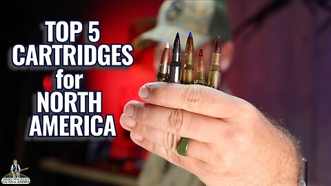 Top 5 Hunting Cartridges For North America