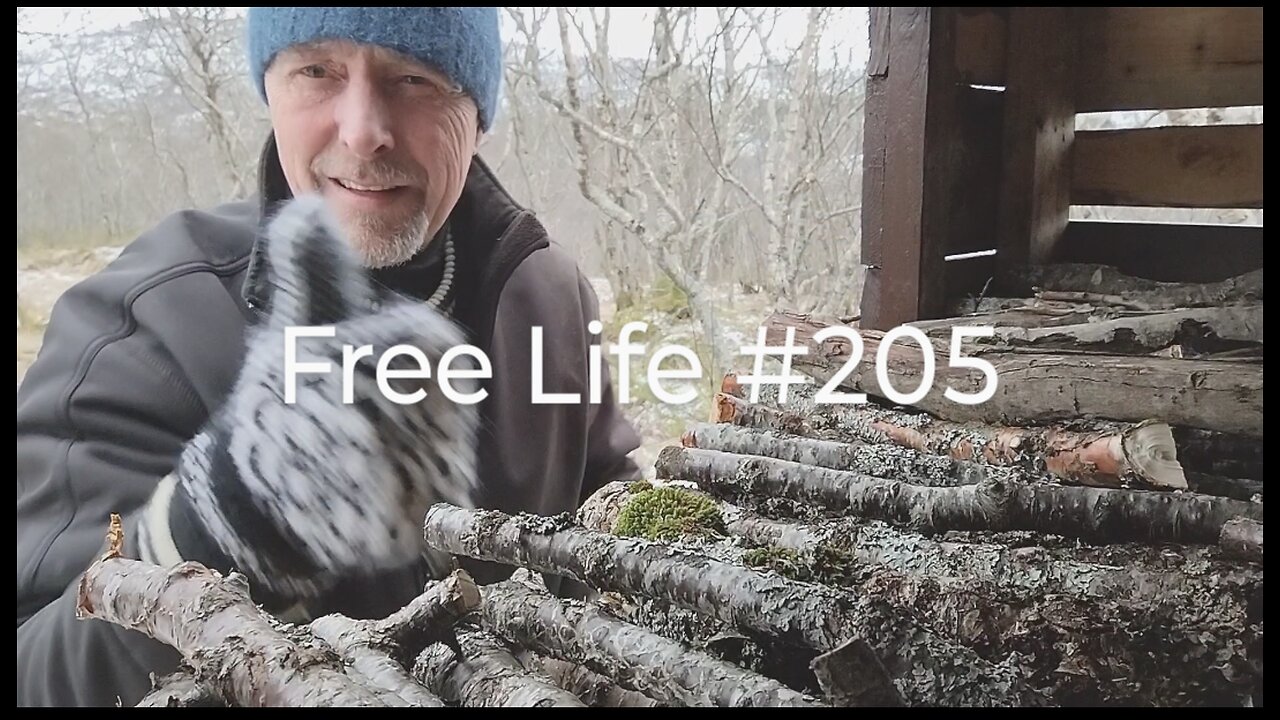 Free Life #205