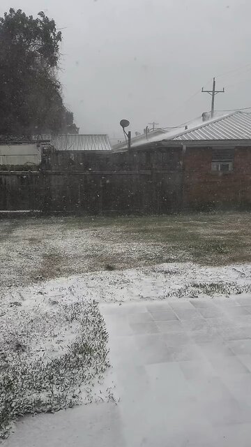 250121 Louisiana Snow