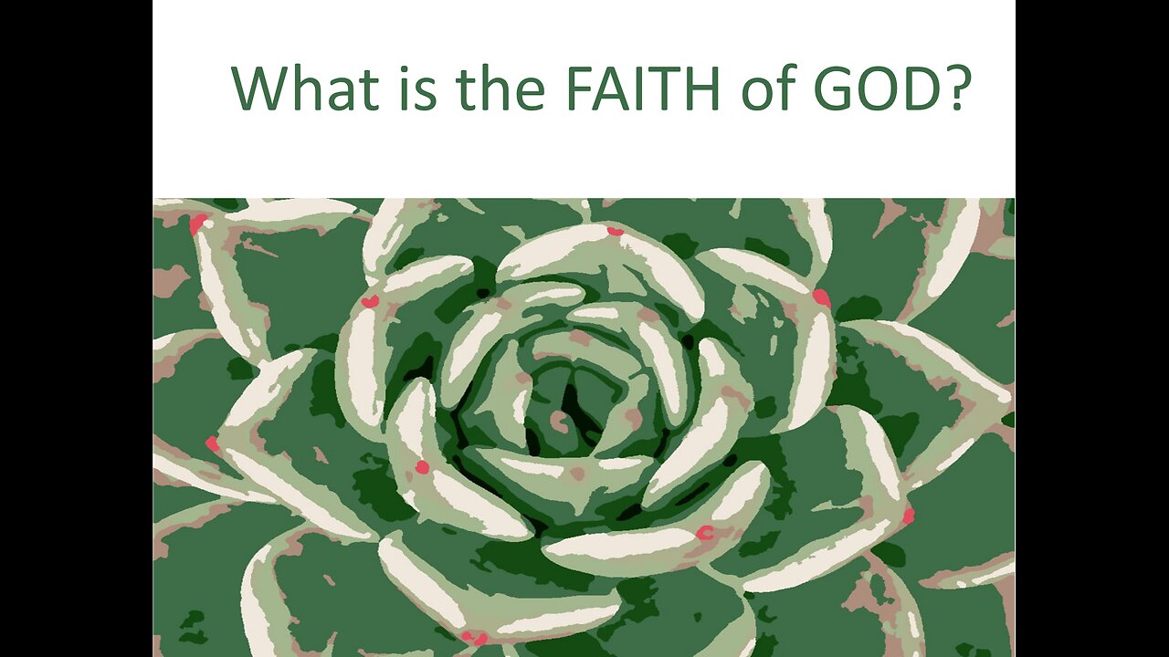 March 28 (Year 4) WHAT IS THE FAITH OF GOD? - Tiffany Root & Kirk VandeGuchte