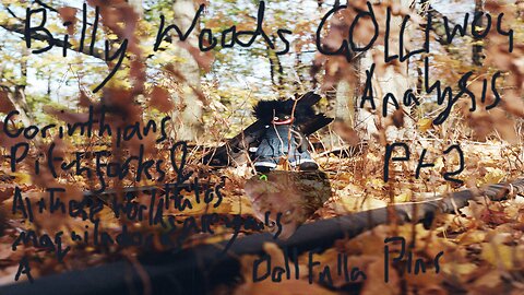 Analysis of billy woods' GOLLIWOG album pt.2