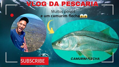 Pesca Extrema: A Maior Captura do Dia com Dicas Incríveis! 🐟"