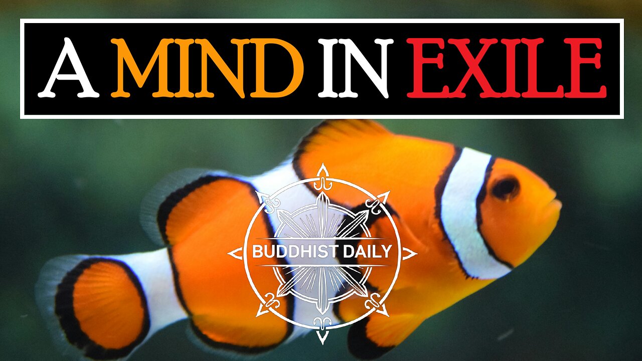 A Mind Without Wisdom Is a Mind in Exile: Lama Dawa's Commentary