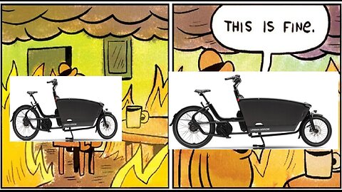 Gazelle bike recalled, child cargo may fall off