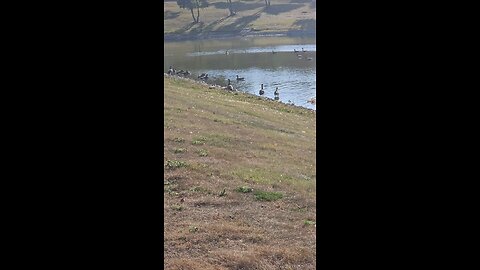A Beautiful October Day at the Louis Reservoir