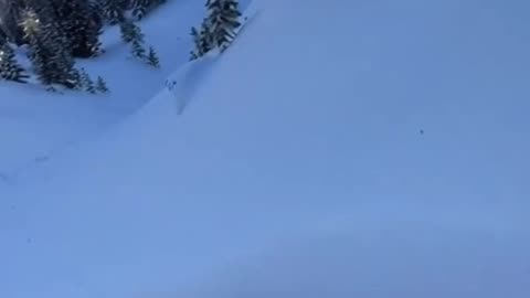 From Jungle to Snow! 🌴➡️❄️ Sliding with my Puppy! #shorts #aholidaytour