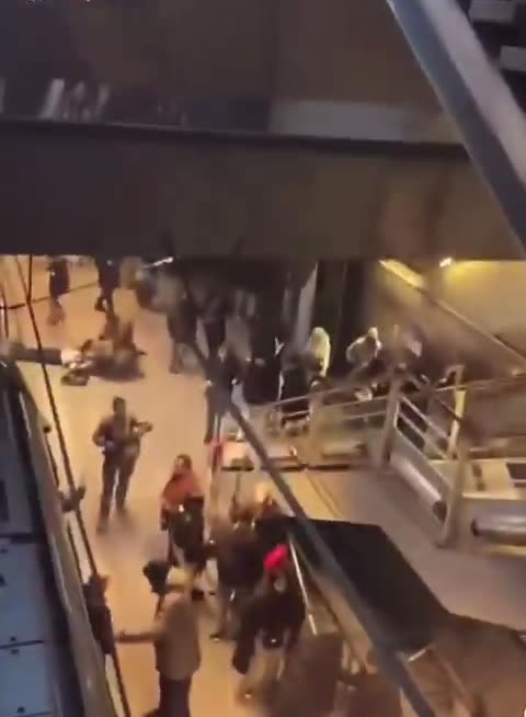 Përplasen tramvajet në Strasburg