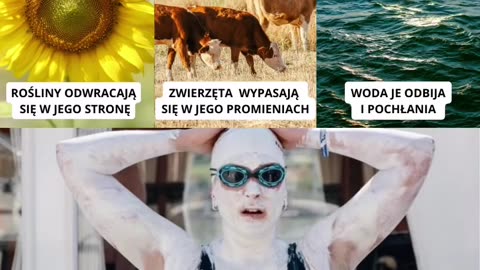 wszystko do słońca