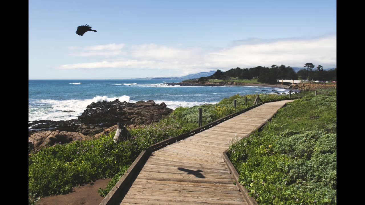 Lord Winter - Boardwalk