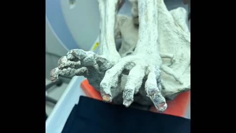 😳🗣️ Josh McDowell on Testifying About Tridactyl Discovery in Congress! | TheTruthAbove
