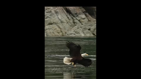 *Nature and its beauty*