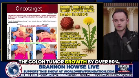 Dandelion root eliminates 95% of cancer cells in the lab — cuts human colon tumor...