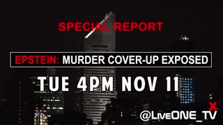 EPSTEIN: COVER-UP EXPOSED . X Space with Jeffrey's brother Mark Epstein