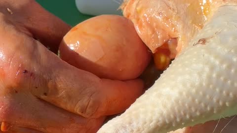 Feral Farm Kids Help Process Chickens