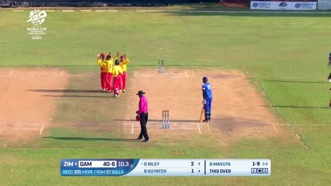 Zimbabwe hit t20i record