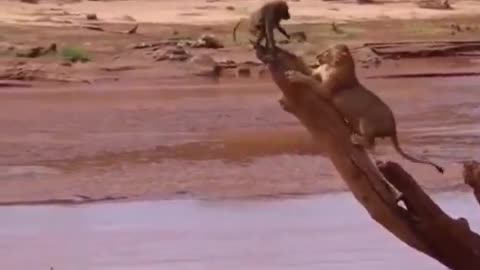 Nature is Cruel #7