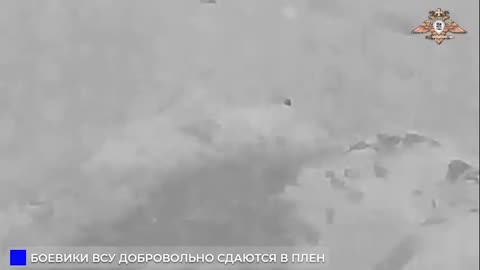 Mirnograd: Ukrainian Troops Massively Surrender