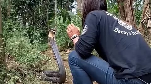 Taming aggressive snakes