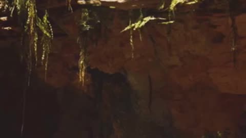 Der Brunnen zum Land der leuchtenden Steine: Ein fantastisches Abenteuer für Kinder ab 6