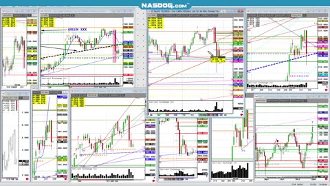 Jan17 Weekend recap, Fri Cattle limit down move. More to come? Screwworm US border?
