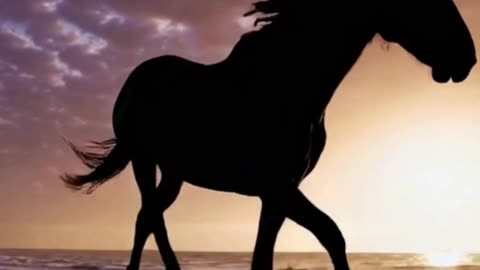 What does a horse in your dream mean?